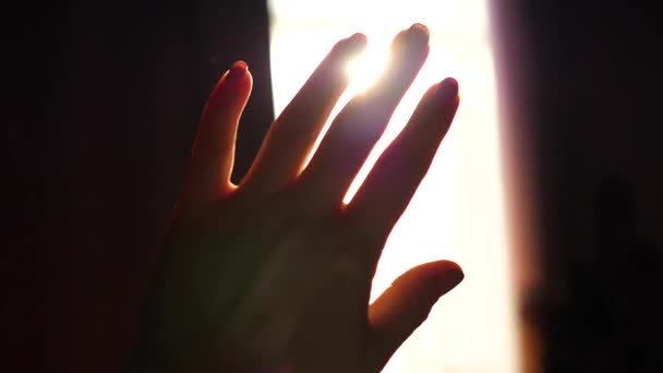 La chica juega con sus manos a la luz del sol. Primer plano de la mano — Vídeos de Stock