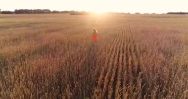 Kaçarken alanda buğday elbiseli bir genç kız. Bir dron--dan ateş. Spor açık havada