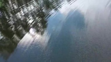 Parkta küçük bir göl. Gölün suyunda gökyüzü ve ağaçların yansıması. Güzel bir doğal yer. Kuş bakışı çekim