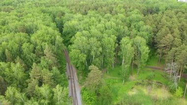 Çekim demiryolları ormanda bir kuş bakışı görünümü. Havadan görünüm.