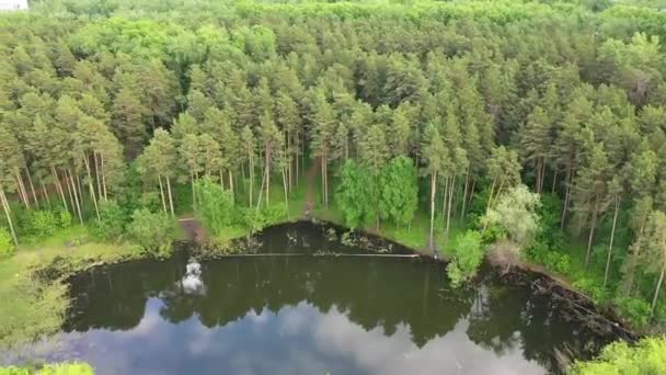 公園の小さな湖湖の水の中の空と木々の反射。美しい景勝地。鳥の目のビューを撮影 — ストック動画
