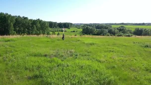 Das Mädchen rennt mit einem Drachen über eine grüne Wiese. Lachen und Freude, festliche Stimmung. Familienurlaub. — Stockvideo