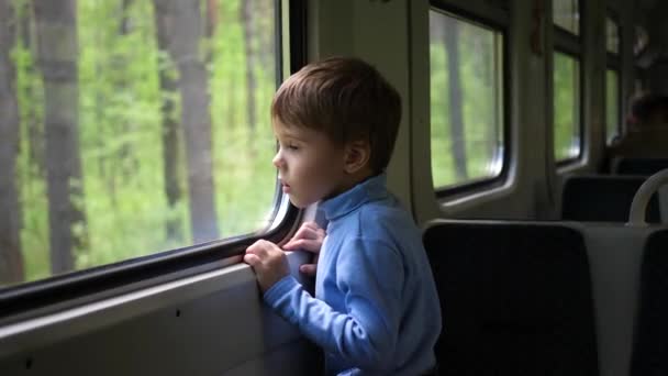 O menino está viajando de trem e olha pela janela, observando os objetos em movimento fora da janela. Viajar com a família — Vídeo de Stock