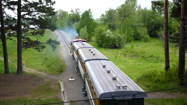 Потяг проходить через ліс. Дитяча залізниця — стокове відео