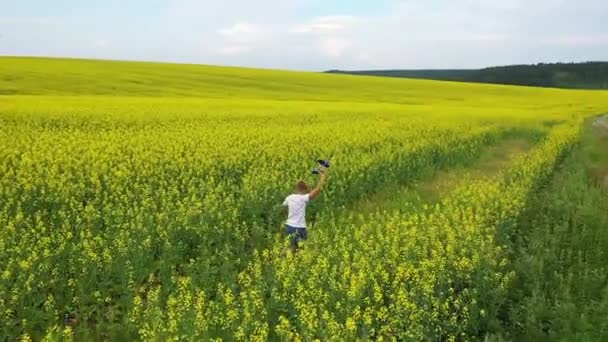 El tipo corre por el campo de flores, sosteniendo un avión. Día soleado de verano — Vídeos de Stock