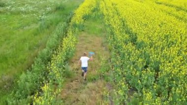 Adam çiçek tarlası boyunca koşuyor, uçağı tutuyor. Güneşli yaz günü