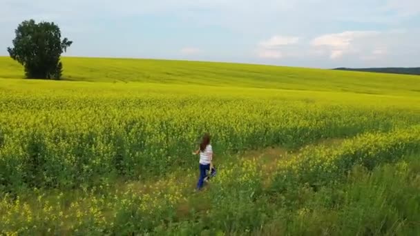 Dziewczynka biegnie na żółtym polu kwiatowym o zachodzie słońca. Nagrania drone. Rozrywka na świeżym powietrzu — Wideo stockowe