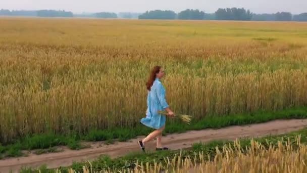 Een jong meisje in een jurk loopt langs een tarwe veld. Vroege ochtend, lichte mist — Stockvideo