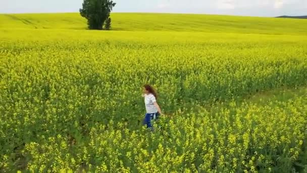 Dziewczynka biegnie na żółtym polu kwiatowym o zachodzie słońca. Nagrania drone. Rozrywka na świeżym powietrzu — Wideo stockowe