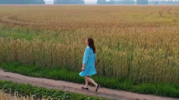 Młoda dziewczyna w sukni spacery wzdłuż pola pszenicy. Wcześnie rano, lekka mgła — Wideo stockowe
