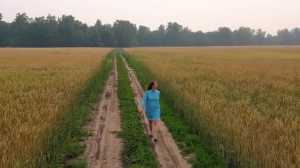 Een jong meisje in een jurk loopt langs een tarwe veld. Vroege ochtend, lichte mist — Stockvideo