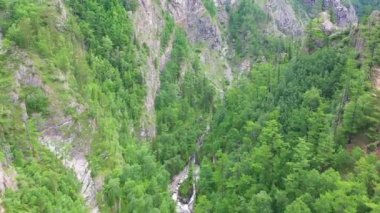 Güzel manzara genel bakış. Dağ nehrinin üzerinde uçan drone. Kuşlar göz görünümü