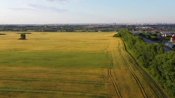 stock video The drone is flying over the forest. View from above.FHD