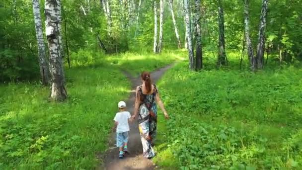 Uma jovem mãe com uma criança andando no Parque. Mãe segura babys mão firmemente — Vídeo de Stock