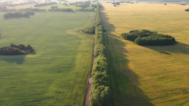 Ten drik letí přes hřiště. vítr fouká uši z pšenice pohled shora. FHD — Stock video