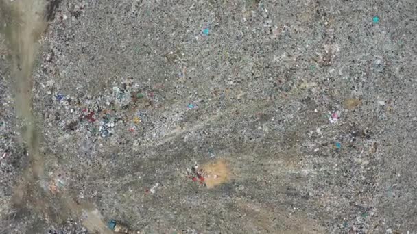 City Dump. El vehículo y la gente trabajando en la basura. Las aves que se alimentan de desperdicios de comida vuelan sobre él. Vista aérea — Vídeo de stock