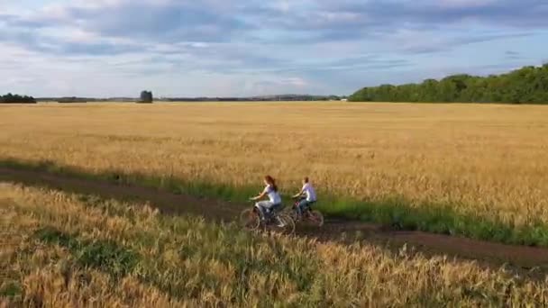 Dziewczyna z facetem jeździ rowerem wzdłuż pola pszenicy. Podróżuj z rodziną na rowerach. Piękny krajobraz z wysokości, czas zachodu słońca — Wideo stockowe