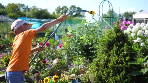 Tutkulu çocuk çiçek bahçesini sulıyor. Genç bahçıvan. Sıcak yaz günü, bir sürü çiçek. — Stok video