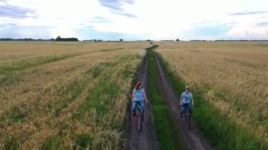 Buğday tarlasında bisiklete binen bir adamla birlikte bir kız. Bisikletle ailenizle seyahat edin. Yükseklikten güzel manzara, gün batımı zamanı