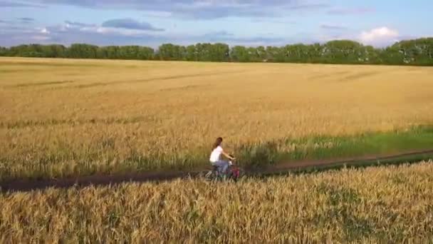 Meisje met een kerel die op een fiets langs een tarwe veld rijdt. Reis met familie op fietsen. Prachtig landschap van een hoogte, de tijd van zonsondergang — Stockvideo