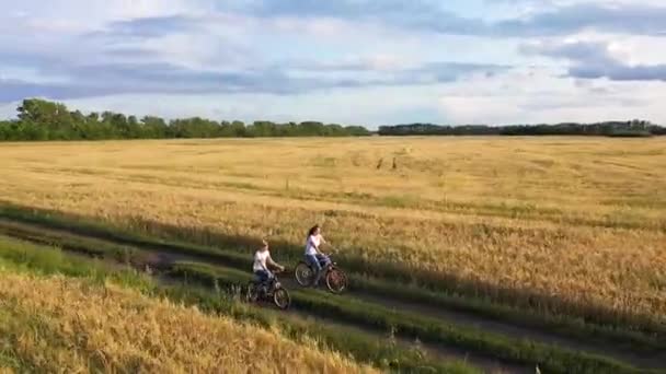 Дівчина з хлопцем їде на велосипеді вздовж пшеничного поля. Подорож з сім'єю на велосипедах. Красивий пейзаж з висоти, час заходу сонця — стокове відео