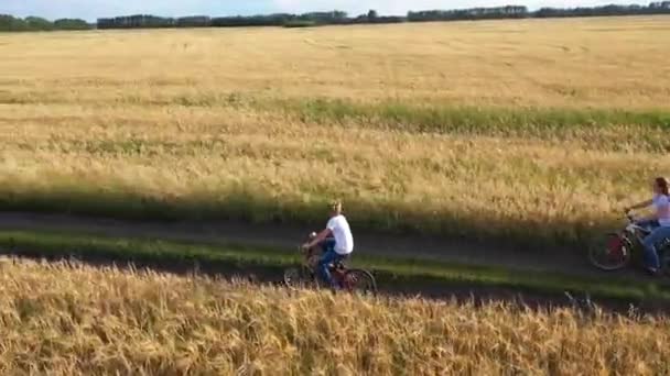 Lány-val egy pasas lovaglás egy kerékpár mentén egy búza mező. Utazzon családjával kerékpáron. Gyönyörű táj a magasból, az idő a naplemente — Stock videók