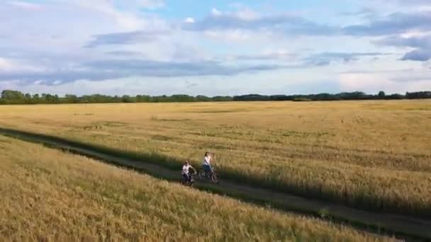 Mädchen mit einem Mann, der ein Fahrrad entlang eines Weizenfeldes reitet.Reise mit Familie auf Fahrrädern. schöne Landschaft aus der Höhe, die Zeit des Sonnenuntergangs — Stockvideo