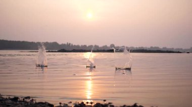 Batan güneşin arka planında su sıçramaları. Su sıçraması