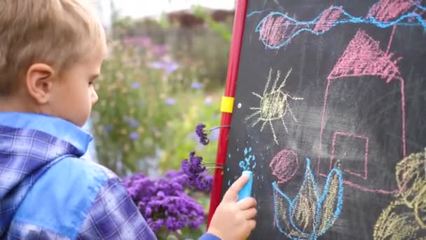 Ung konstnär ritar på tavlan. En pojke i det öppna luften bland blommor och grönska drar barnens bilder med krita på tavlan. — Stockvideo