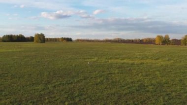 Çocuk yeşil bir alanda uçurtma ile çalışır. Kahkaha ve neşe, şenlikhavası. Sonbahar