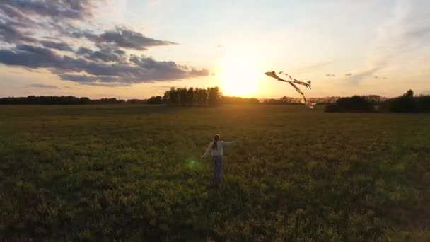 Mutter und Junge laufen mit einem Drachen über eine grüne Wiese. Lachen und Freude, festliche Stimmung. Herbst, Sonnenuntergang — Stockvideo