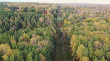 Sonbahar ormanlarında yukarıdan anket güç hatları