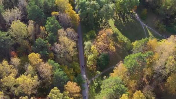 İnsanlar sıcak bir sonbahar gününde parkta yürürler. Rüzgar ağaçları karıştırıyor. Park 'ın tepesinden ateş ediyorlar. — Stok video