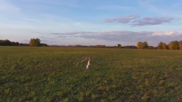 A mãe e o rapaz correm com um papagaio num campo verde. Risos e alegria, humor festivo. Outono, pôr do sol — Vídeo de Stock