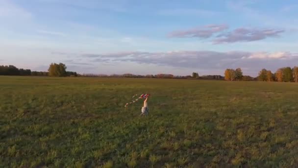 Мати і хлопчик бігають з змієм на зеленому полі. Сміх і радість, святковий настрій. Осінь, захід сонця — стокове відео