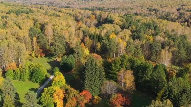 Mensen wandelen in het park op een warme herfstdag. De wind roert de bomen. Schieten vanaf een hoogte boven het park — Stockvideo