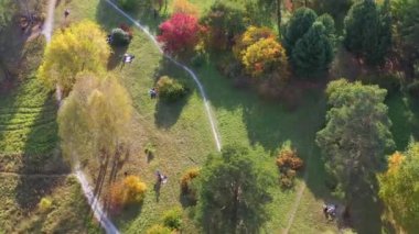 İnsanlar sıcak bir sonbahar gününde Parkta yürürler. İnsanlar çimlere oturun. Park'ın üstünden çekim