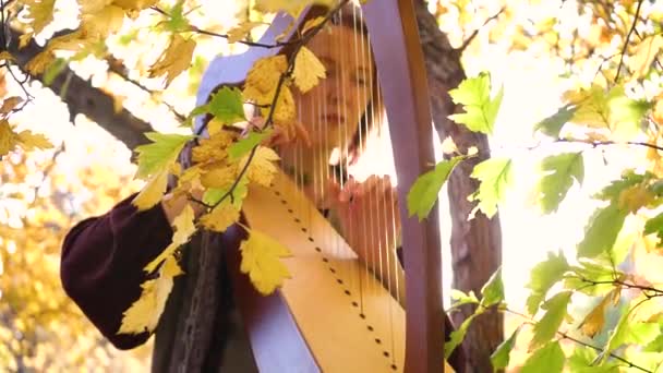 Una joven toca el arpa. Se sienta debajo de un árbol en el parque de otoño. . — Vídeo de stock