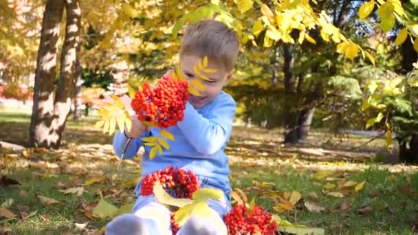 Un enfant dans le parc d'automne joue et rit joyeusement, il joue avec des feuilles jaunes et des baies de Rowan. Journée ensoleillée d'automne dans le parc. Divertissement extérieur — Video