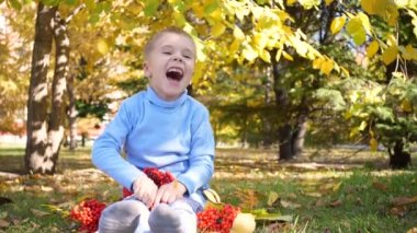 Sonbahar parkındaki bir çocuk neşeyle oynar ve güler, sarı yapraklar ve Rowan böğürtlenleriyle oynar. Parkta güneşli bir sonbahar günü. Açık hava eğlencesi