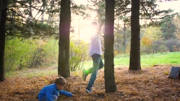 Un adolescent joue avec un enfant, court dans le parc autour d'un arbre et le rattrape. Les rayons du soleil pénètrent dans la forêt de pins. Rire et joie de toute la famille. — Video