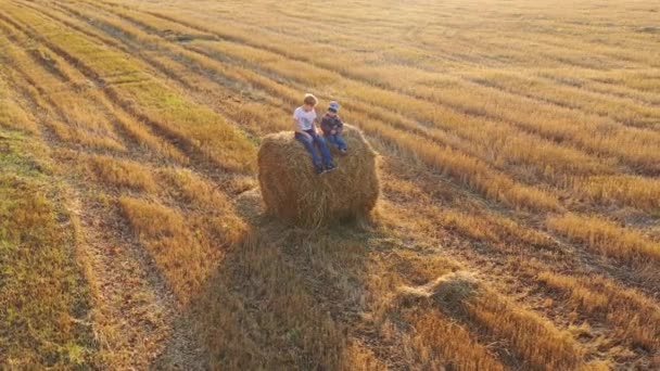 Il ragazzo sta sul pagliaio e agita le mani. Gioca e ride. Campagna. Tramonto — Video Stock