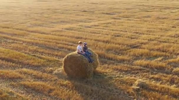 El chico se para en el pajar y agita las manos. Él juega y ríe. Campo. Puesta de sol — Vídeos de Stock