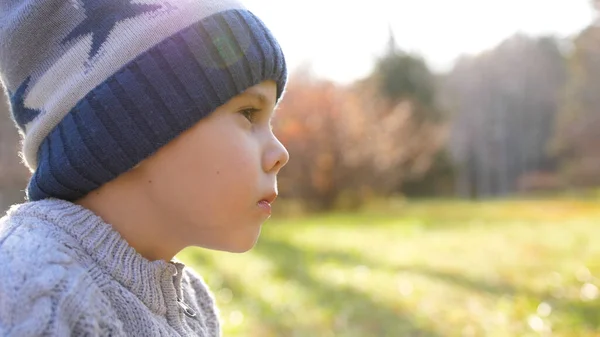 Un bambino nel parco autunnale durante un picnic. Mangia una mela rossa succosa. Faccia ravvicinata — Foto Stock