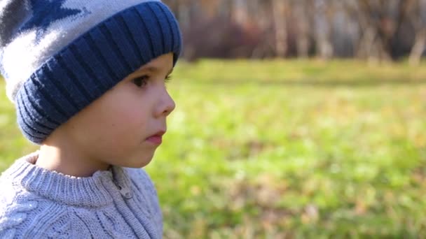 Un enfant dans le parc d'automne lors d'un pique-nique. Il mange une pomme rouge juteuse. Gros plan visage 