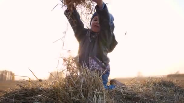 A child sits on a haystack. He plays and laughs.Countryside. Sunset — Stock Video