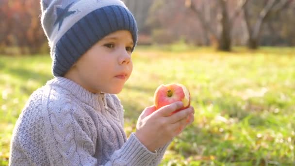 Un niño en el parque de otoño en un picnic. Se come una jugosa manzana roja. Cara de cerca — Vídeos de Stock