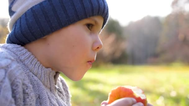 Un niño en el parque de otoño en un picnic. Se come una jugosa manzana roja. Cara de cerca — Vídeos de Stock