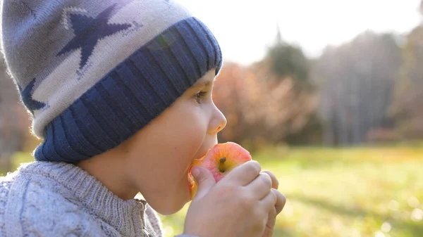 Ένα παιδί στο Φθινοπωρινό Πάρκο για πικνίκ. Τρώει ένα ζουμερό κόκκινο μήλο. Κλείσιμο προσώπου — Φωτογραφία Αρχείου