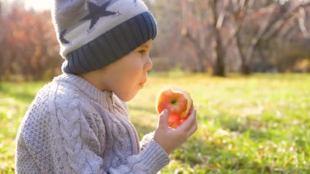 Un enfant dans le parc d'automne lors d'un pique-nique. Il mange une pomme rouge juteuse. Gros plan visage 